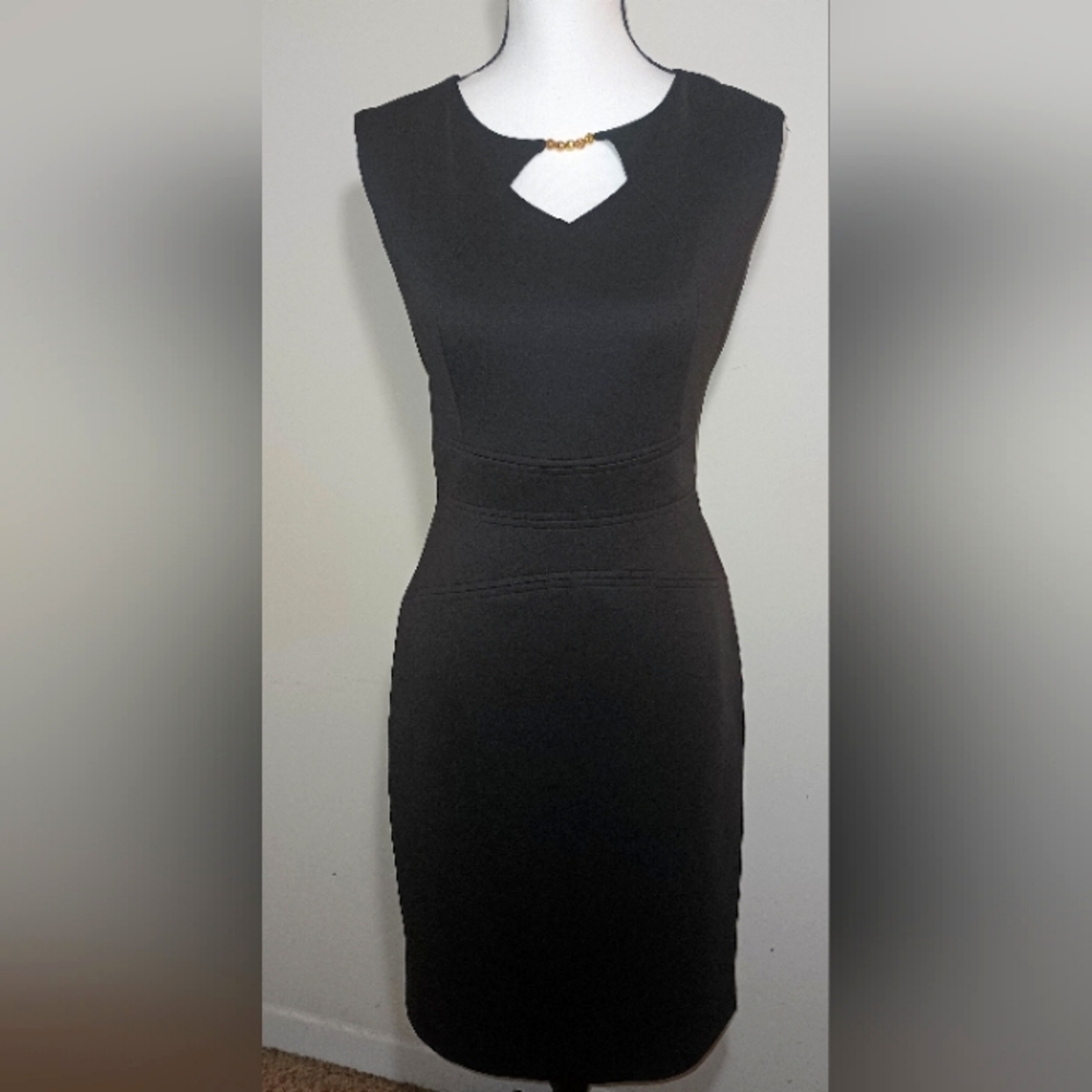 Ellen Tracy Stretch Dress (10)